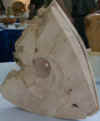 stoney1.jpg (15128 bytes)